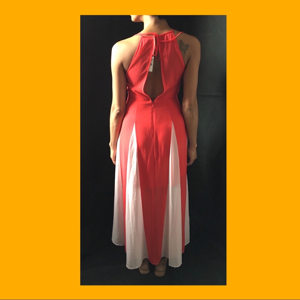 Express Dress - Picture 2 of 4